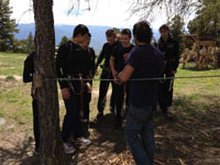 photo_pour_le_web_acrobranche