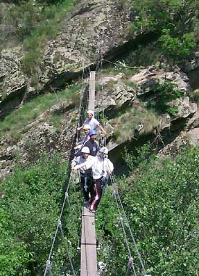 Sur le pont de singe